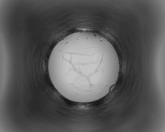 X0000082950569200703020152