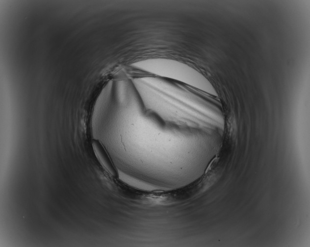 X0000082950570200703020152