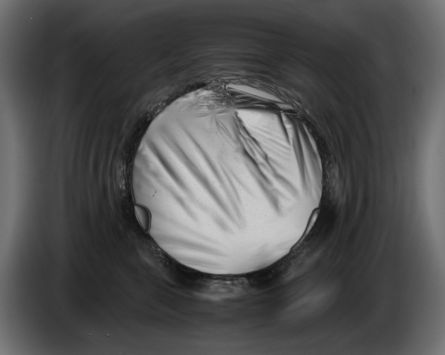 X0000082950571200703020152