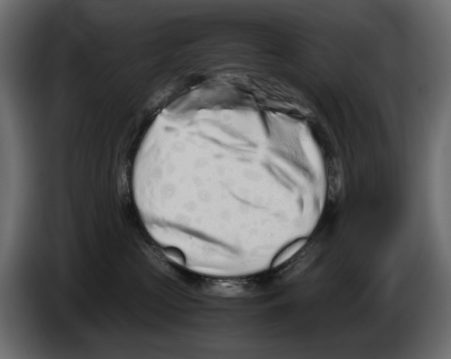 X0000082950573200703020152