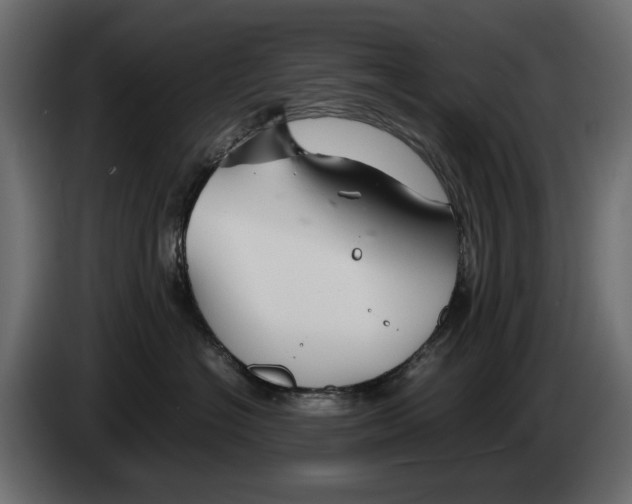 X0000082950574200703020152