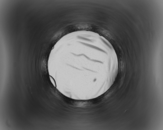 X0000082950575200703020152