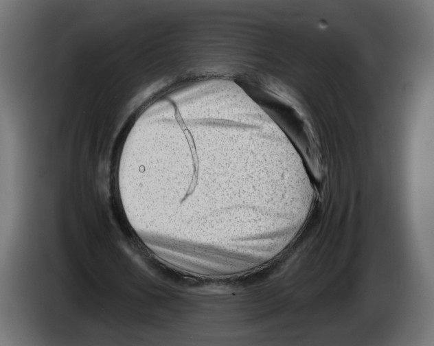 X0000082950578200703020151