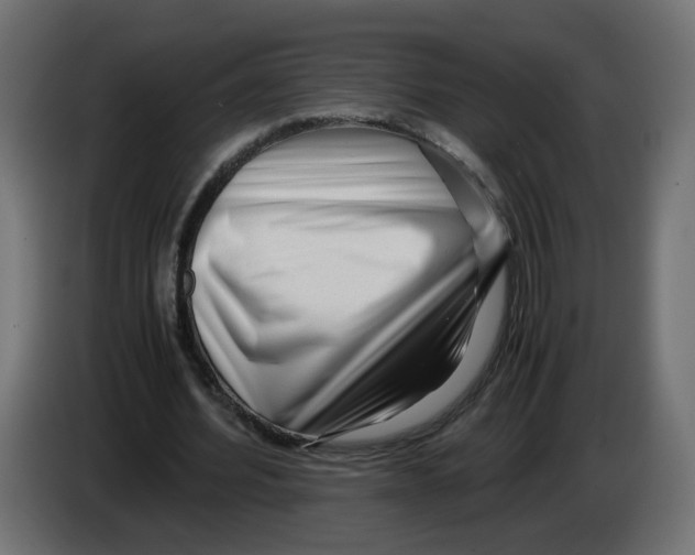 X0000082950580200703020151