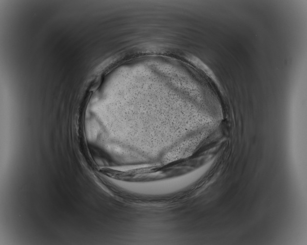 X0000082950581200703020151