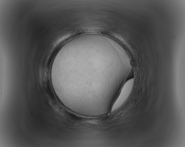 X0000082950583200703020151