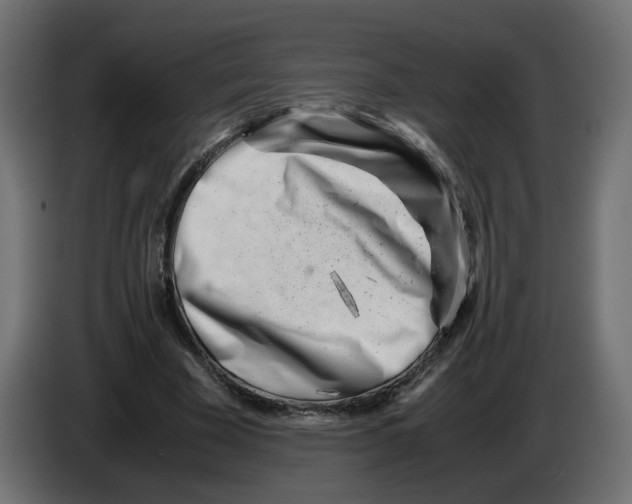 X0000082950585200703020151