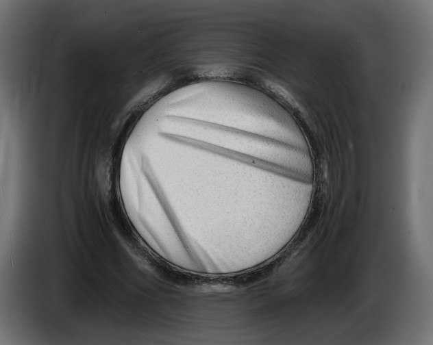 X0000082950586200703020151