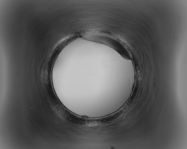 X0000082950587200703020151