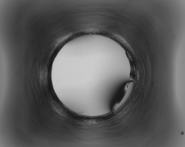 X0000082950588200703020151