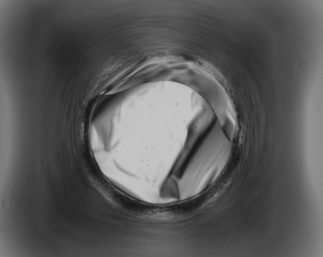 X0000082950589200703020151