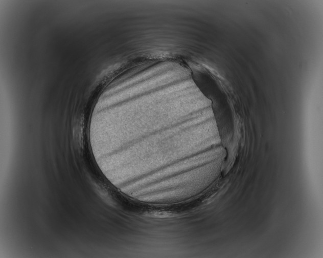 X0000082950590200703020151