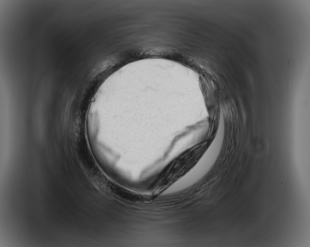 X0000082950591200703020151