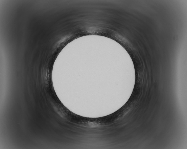 X0000082950592200703020151