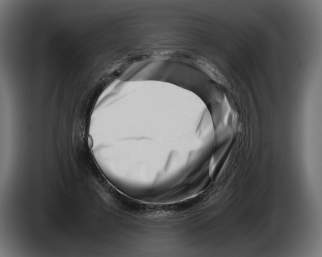 X0000082950593200703020151