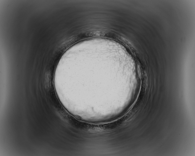 X0000082950594200703020151