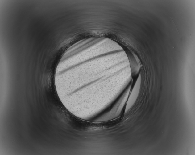 X0000082950595200703020151