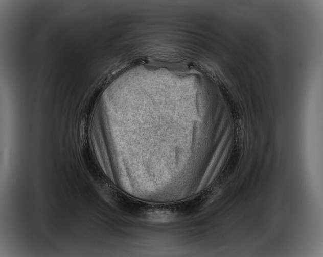 X0000082950598200703020151