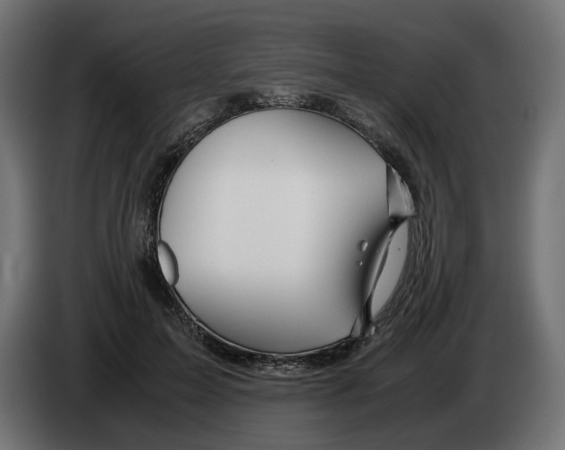 X0000082950599200703020151