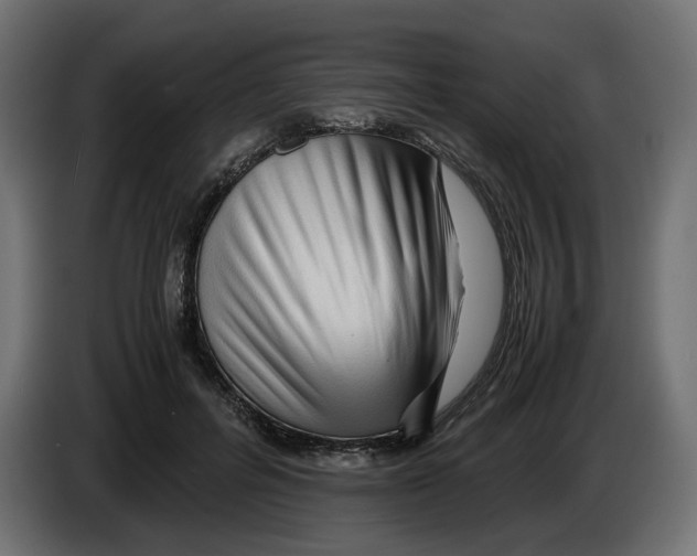 X0000082950600200703020151