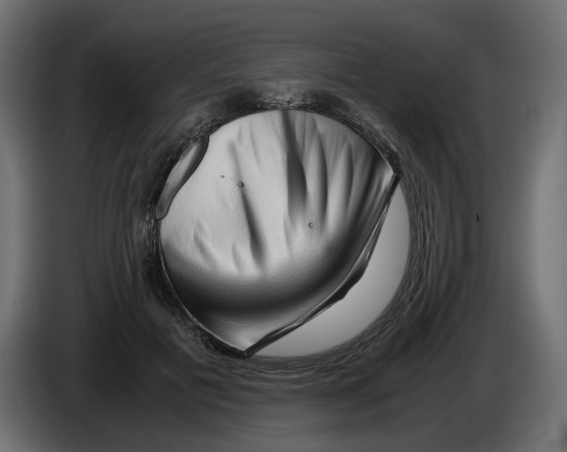 X0000082950601200703020151