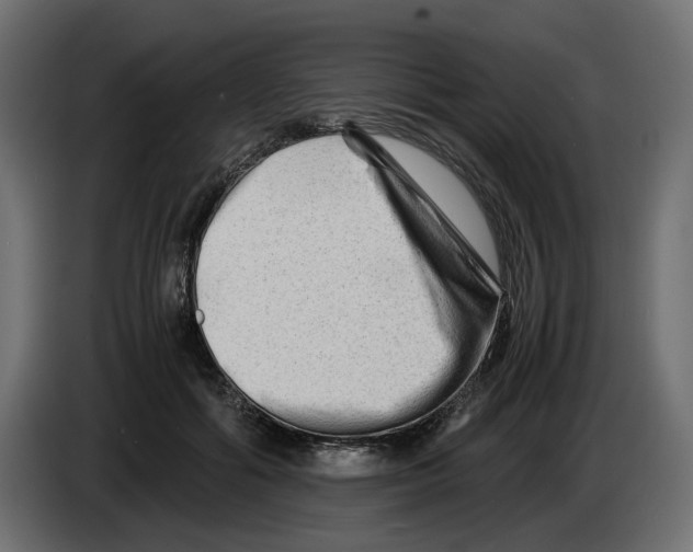 X0000082950602200703020151