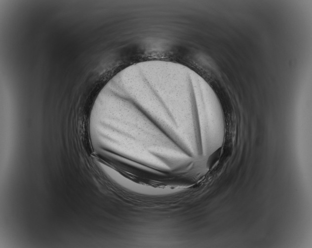 X0000082950603200703020151