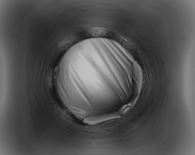 X0000082950604200703020151