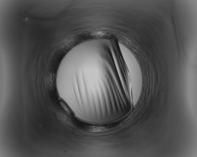 X0000082950605200703020151