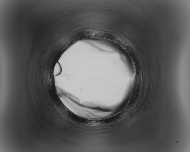 X0000082950607200703020151