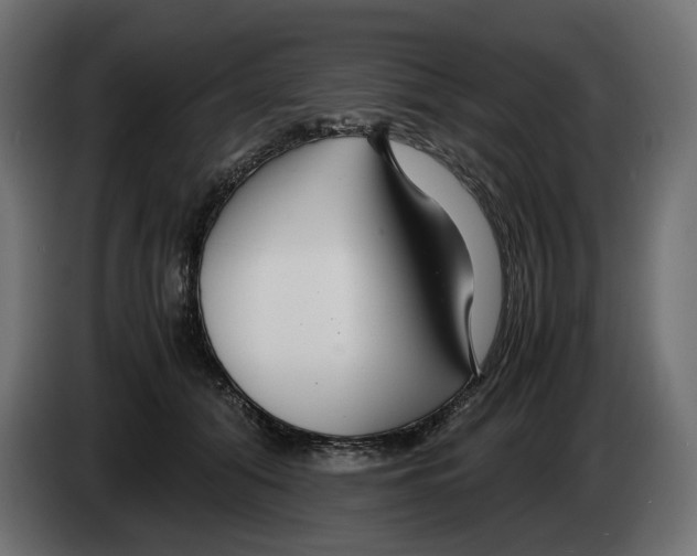 X0000082950608200703020151