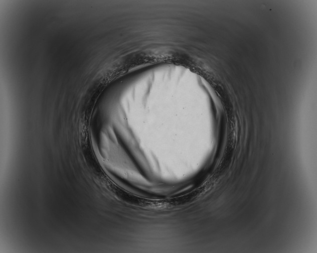 X0000082950609200703020151