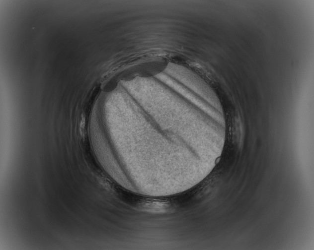 X0000082950610200703020151