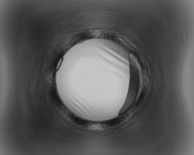 X0000082950611200703020151