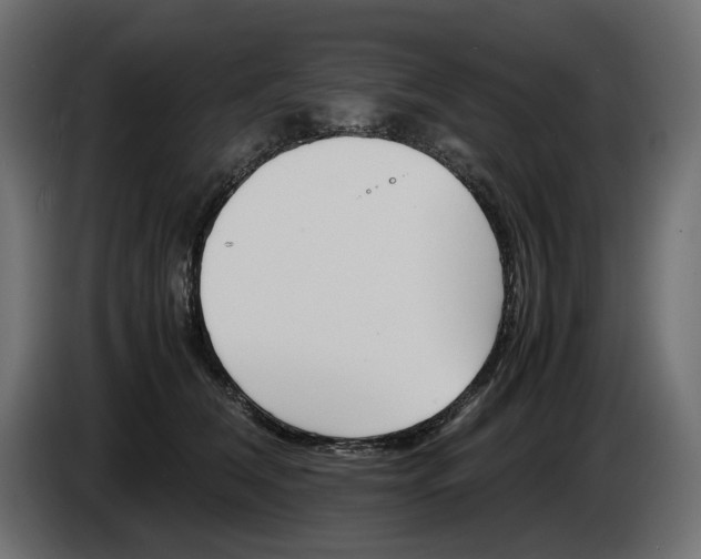 X0000082950612200703020151