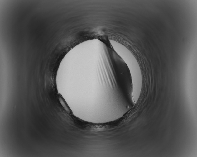 X0000082950613200703020151