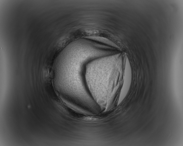 X0000082950614200703020151