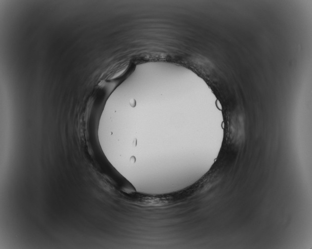 X0000082950616200703020151