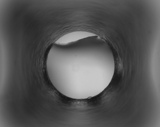 X0000082950619200703020151