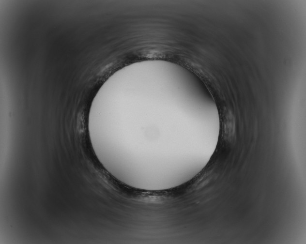 X0000082950620200703020151