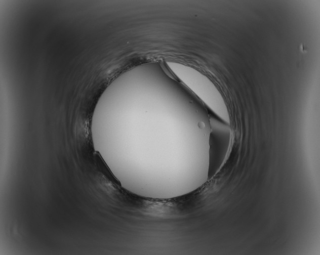 X0000082950621200703020151