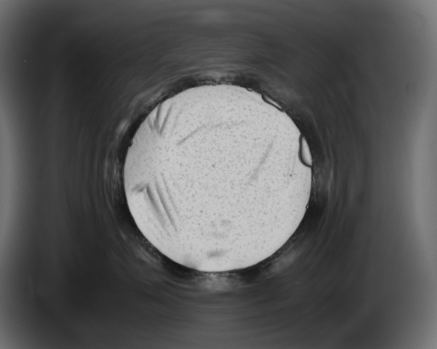 X0000082950623200703020151