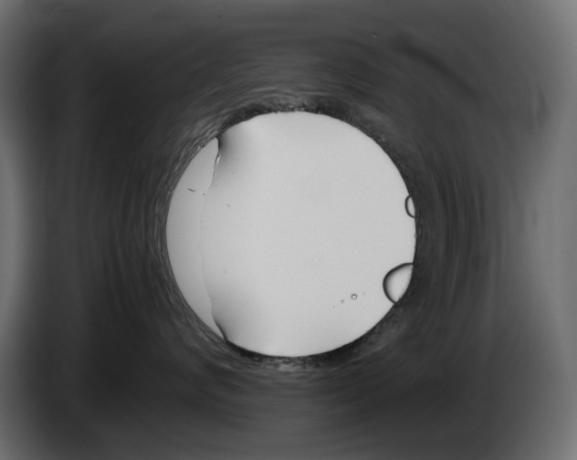 X0000082950624200703020151