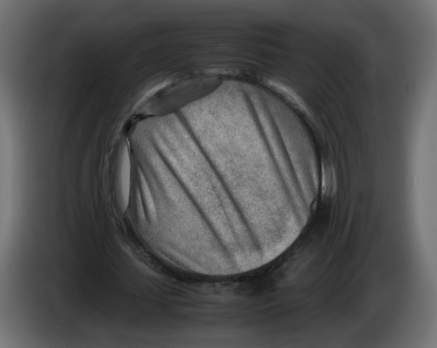 X0000082950627200703020150