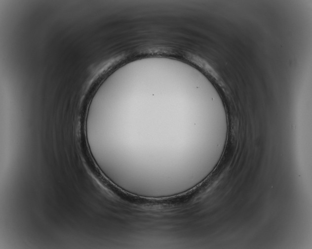 X0000082950629200703020150