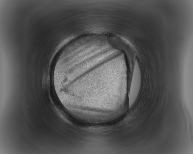 X0000082950630200703020150