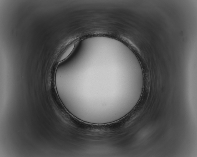 X0000082950631200703020150