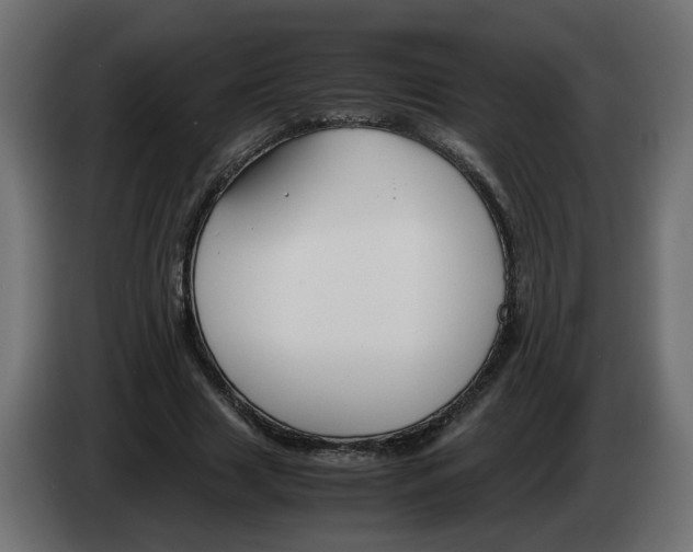 X0000082950633200703020150