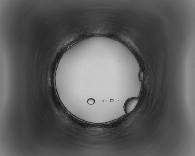 X0000082950635200703020150