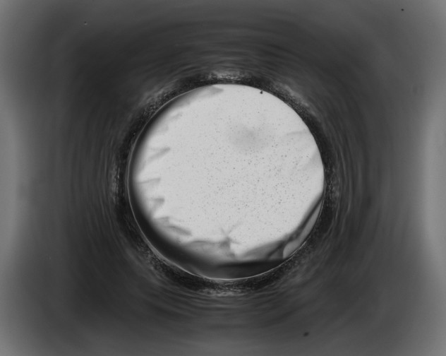 X0000082950639200703020150